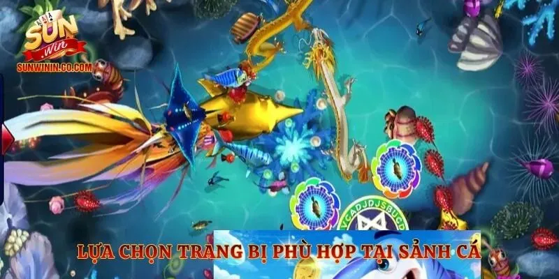 Lựa chọn trang bị phù hợp tại sảnh cá